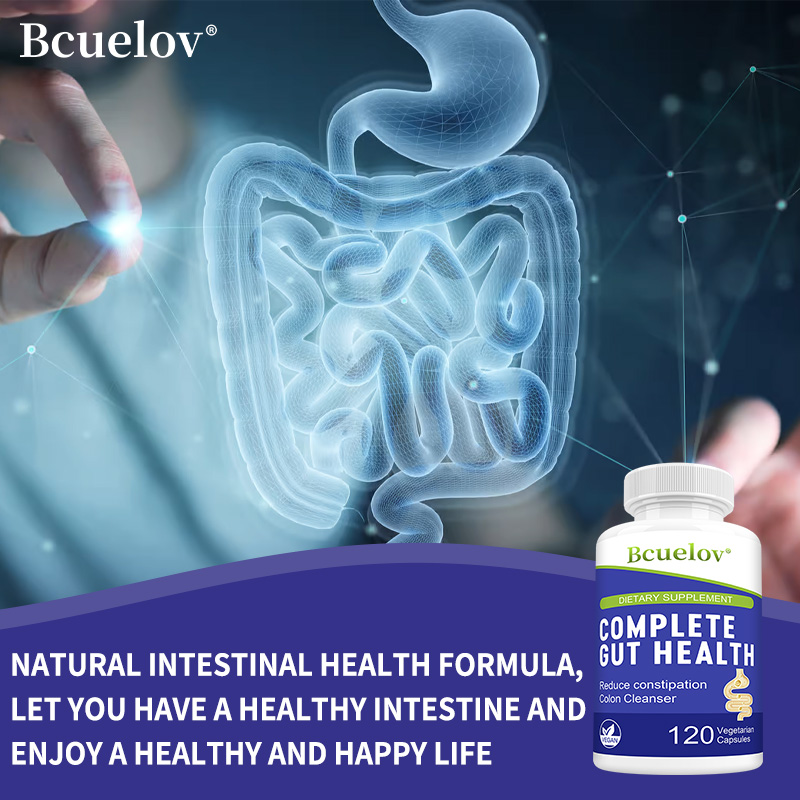 Gut Health Capsules - Ginger D - Dandelion Detox Tea ulasan dan harga