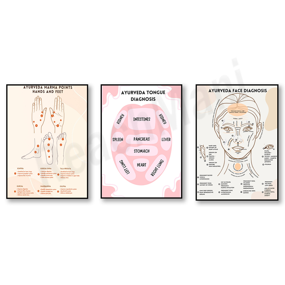 Ayurvedic energy chart, Ayurve - Ayurvedic & Herbal Wellness Kits ulasan dan harga
