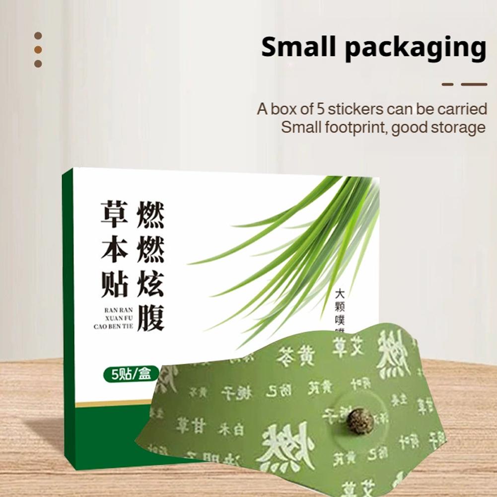 12/3/4/5 Sheets Natural Weight - Ayurvedic & Herbal Wellness Kits ulasan dan harga