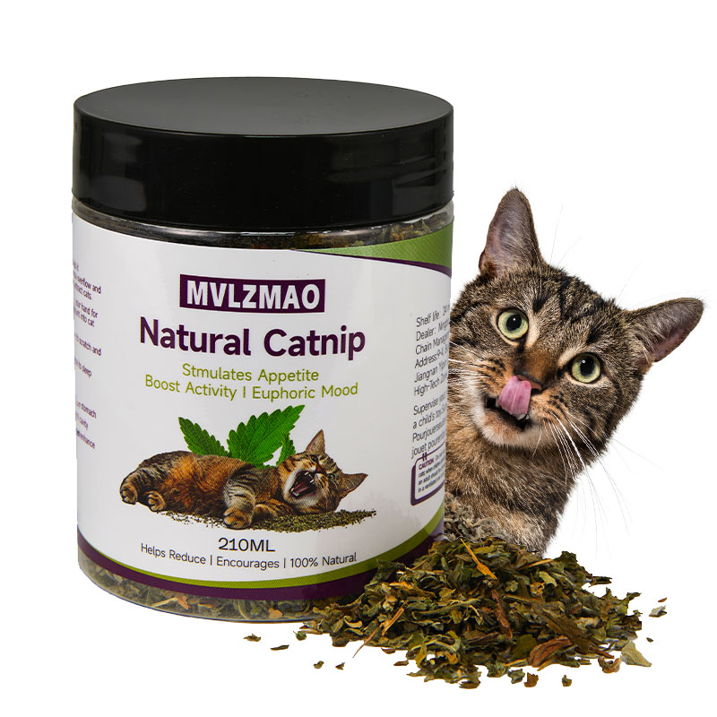 Cat Toys - Silvervine Catnip f - Herbal Wellness Supplement ulasan dan harga