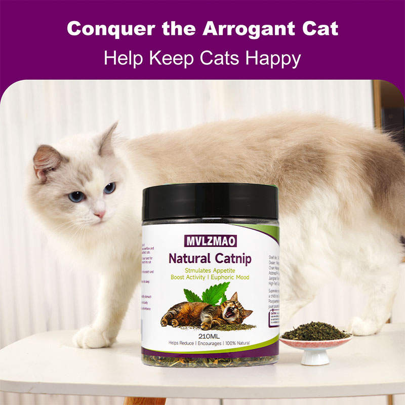 Cat Toys - Silvervine Catnip f - Herbal Wellness Supplement ulasan dan harga
