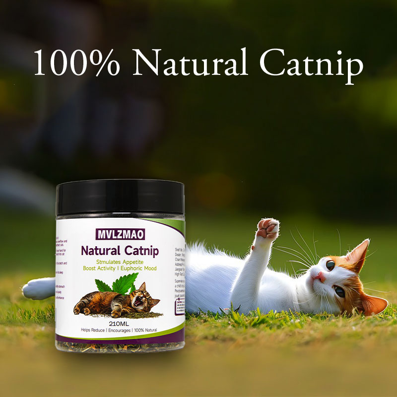 Cat Toys - Silvervine Catnip f - Herbal Wellness Supplement ulasan dan harga