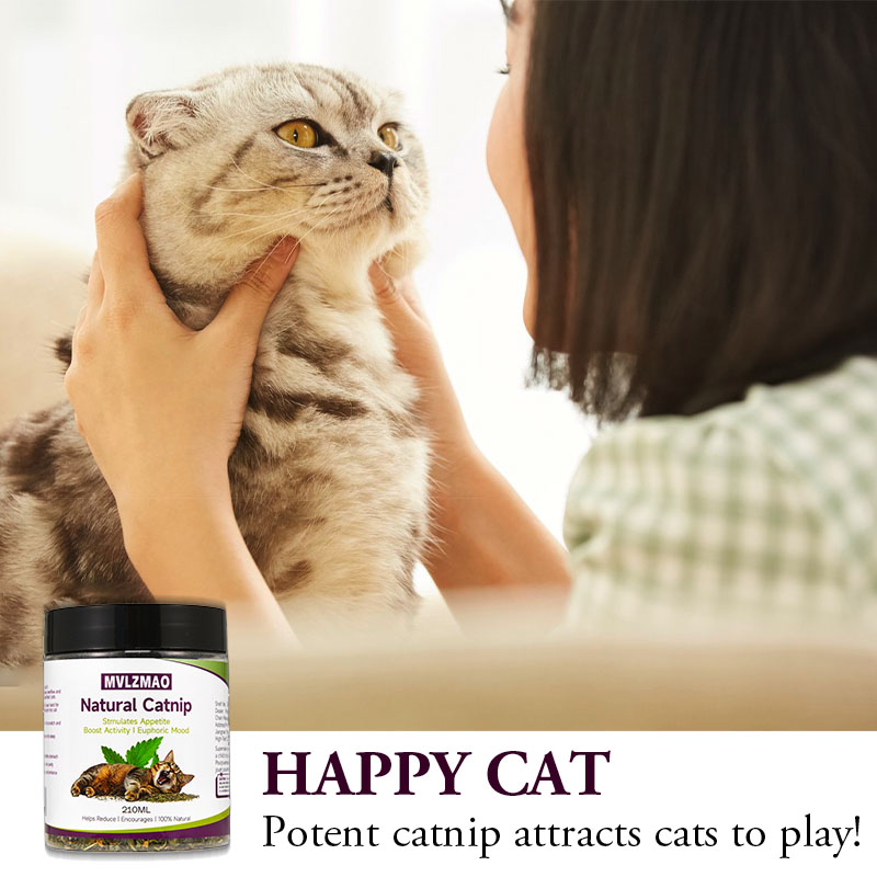 Cat Toys - Silvervine Catnip f - Herbal Wellness Supplement ulasan dan harga