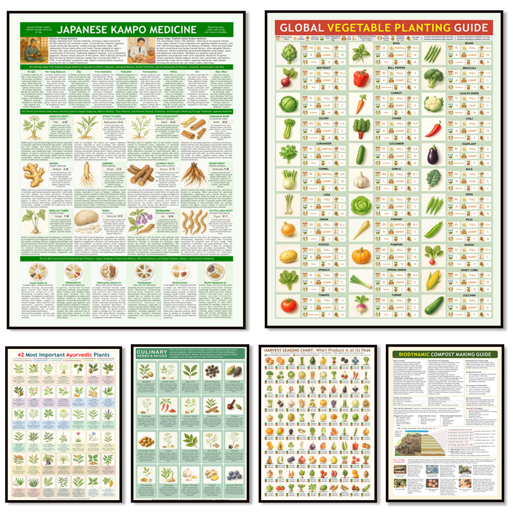 Ayurvedic healing plants, harv - Ayurvedic & Herbal Wellness Kits ulasan dan harga