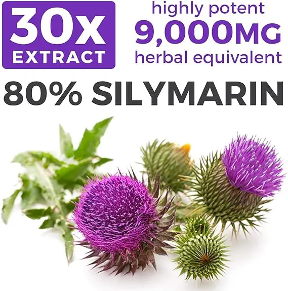 Organic Milk Thistle Capsules  - Milk Thistle Silymarin ulasan dan harga