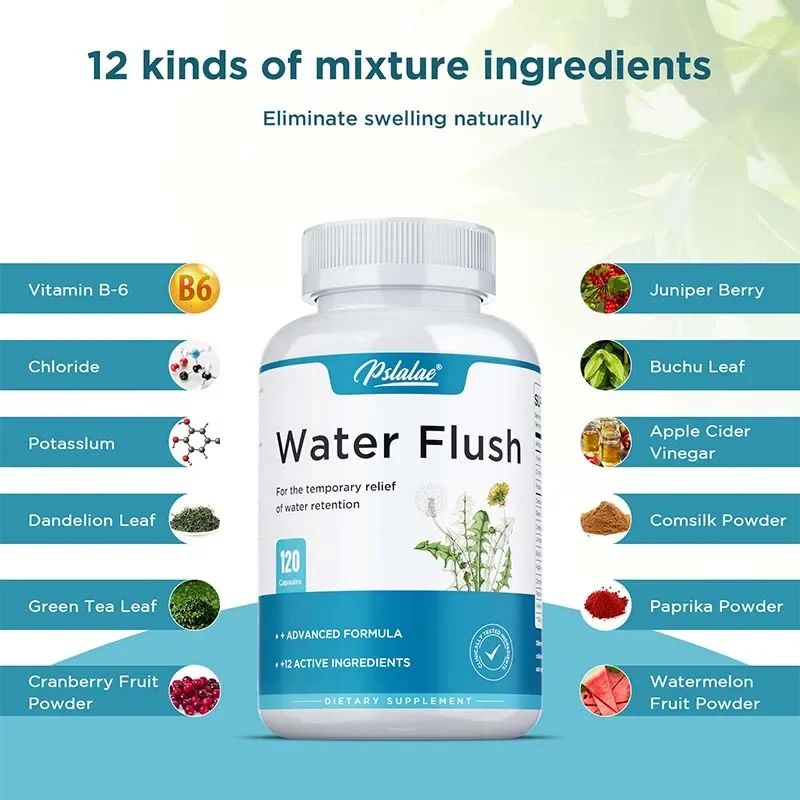 Diuretic Weight Loss Supplemen - Dandelion Detox Tea ulasan dan harga